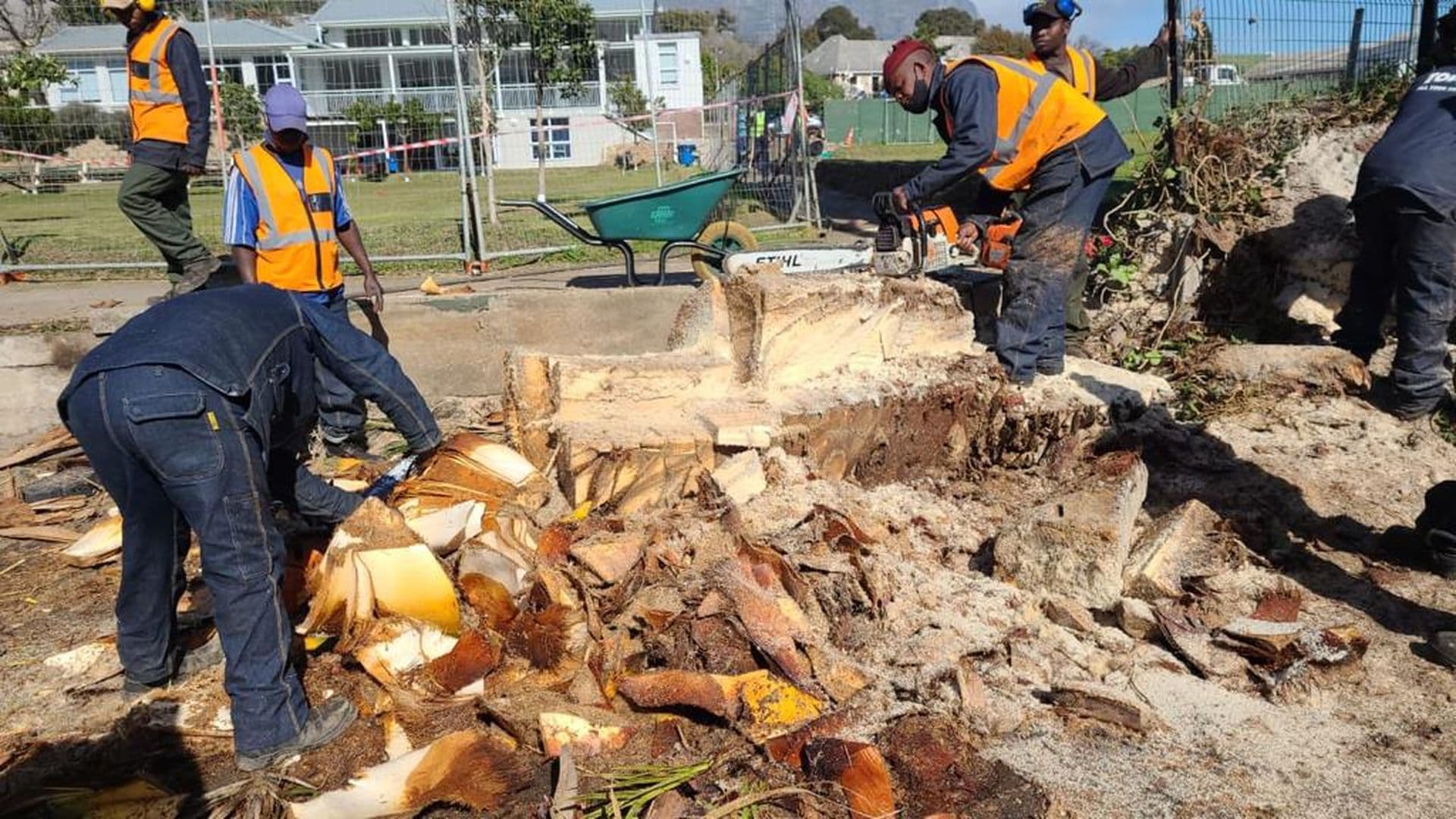 Topfell CC tree services image