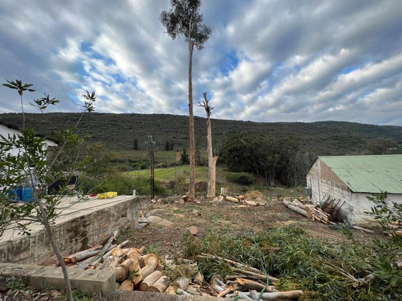 Topfell CC tree services image