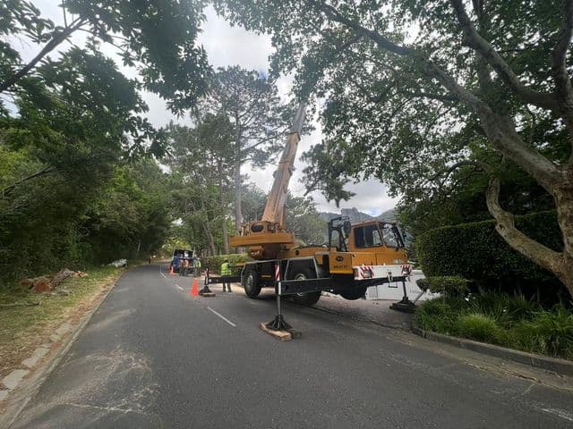 Topfell CC tree services image