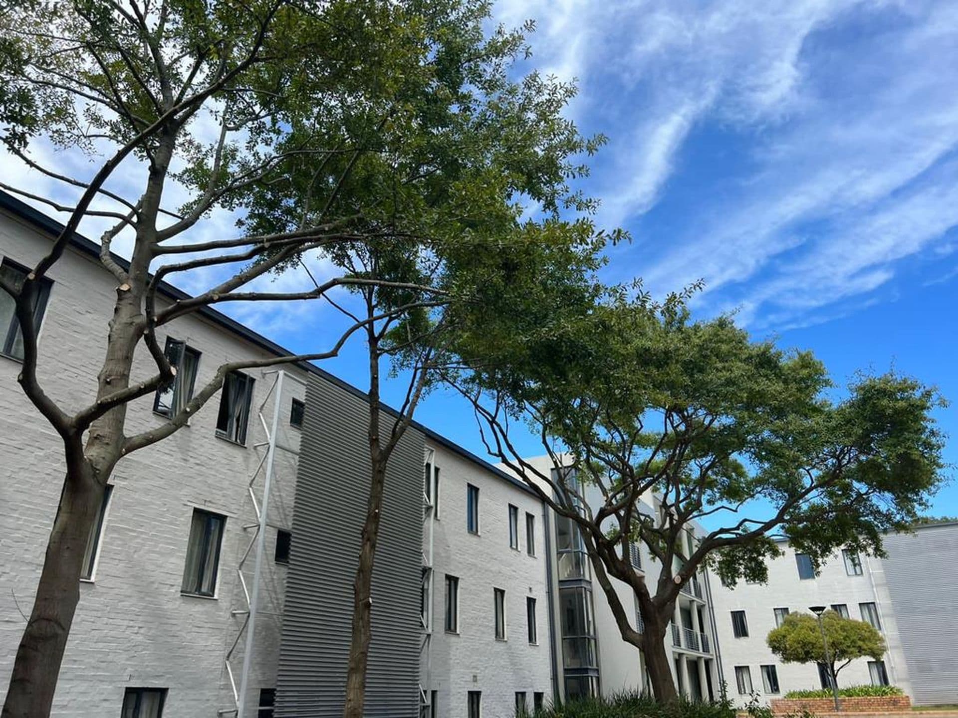 Topfell CC tree services image