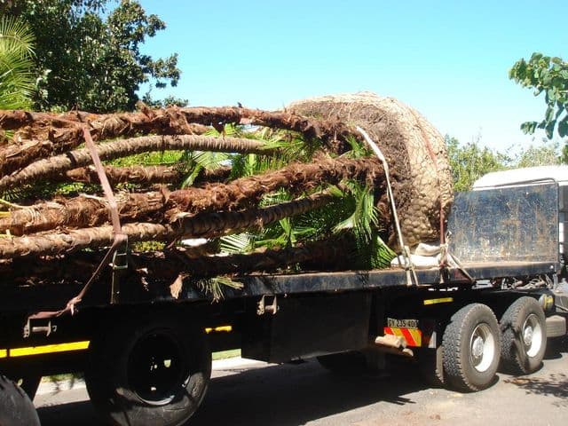 Topfell CC tree services image