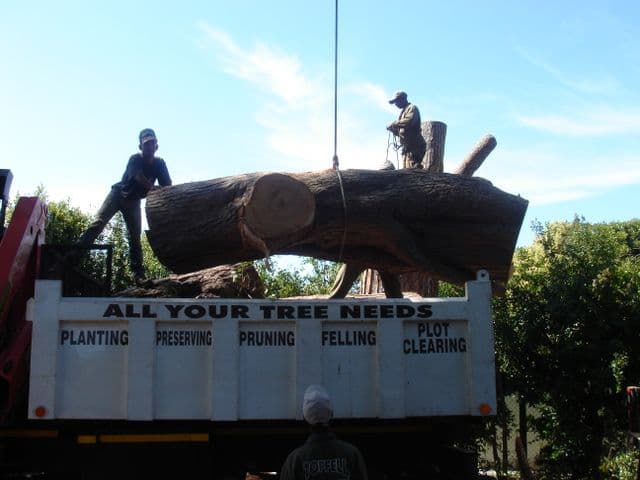 Topfell CC tree services image