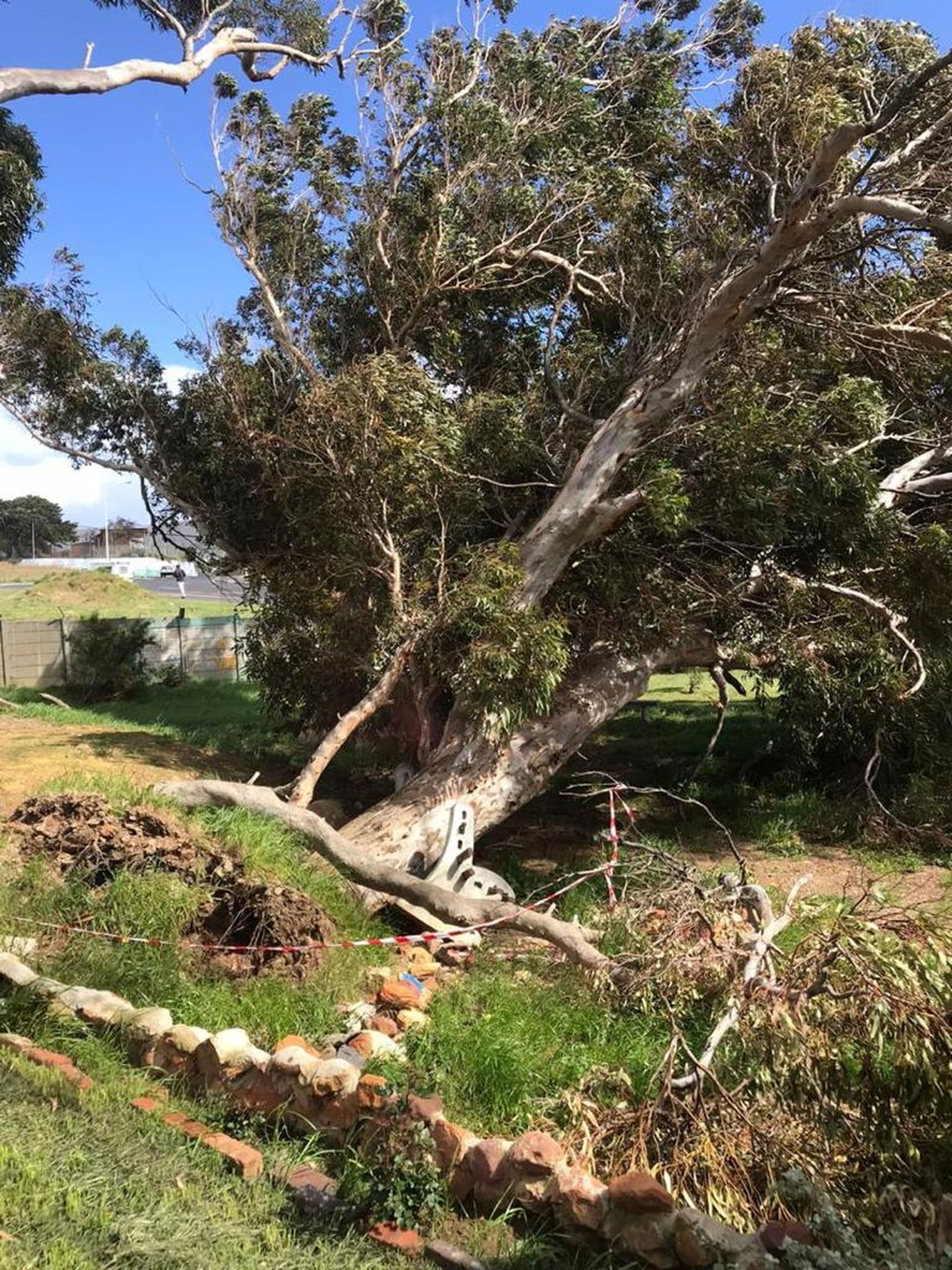 Topfell CC tree services image