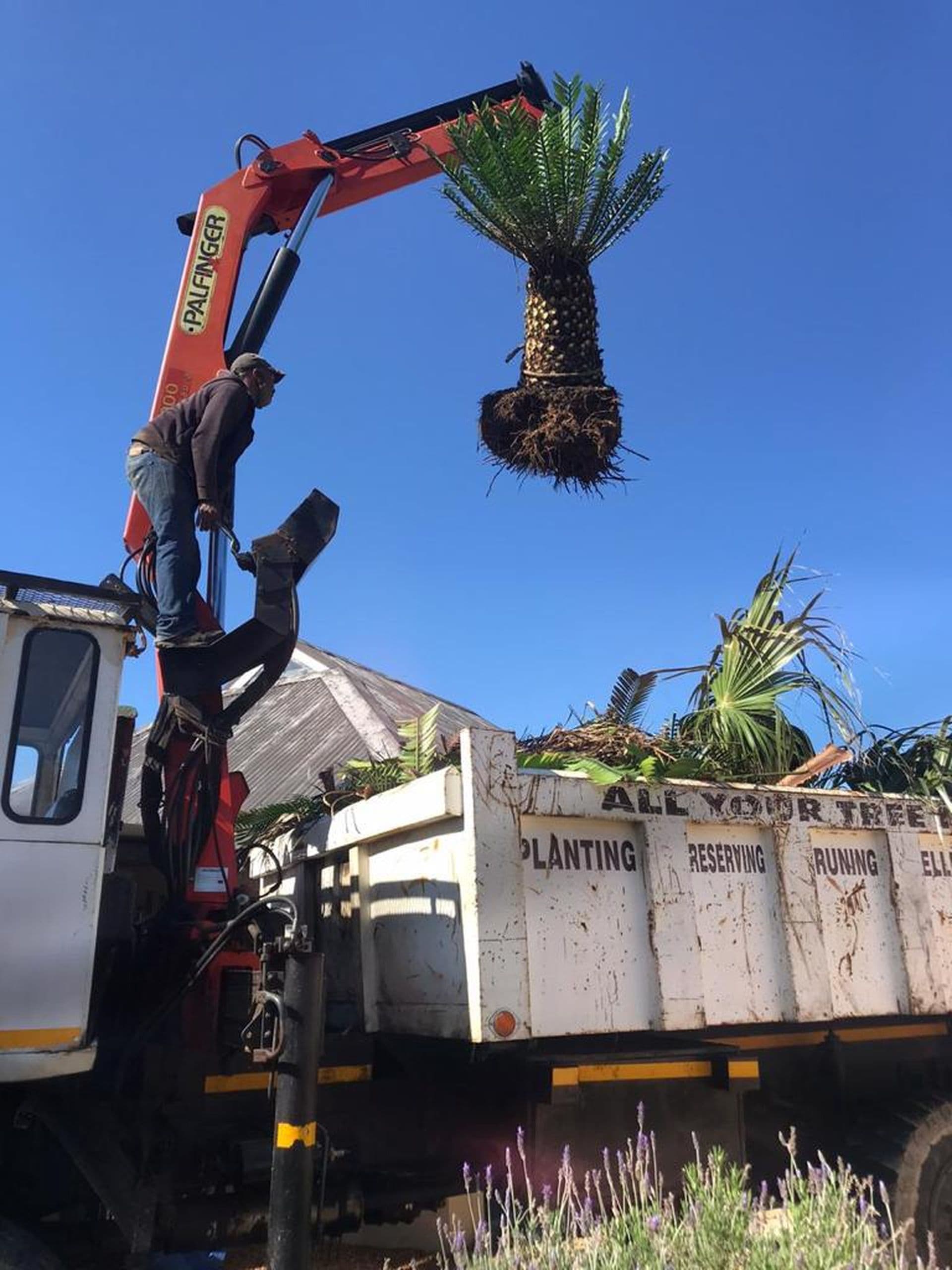 Topfell CC tree services image