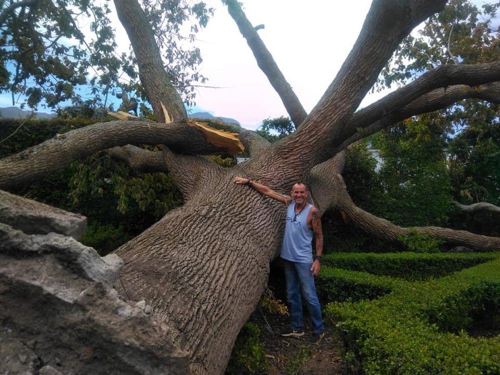 Topfell CC tree services image