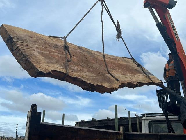 Topfell CC tree services image